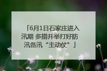 6月1日石家庄进入汛期 多措并举打好防汛备汛“主动仗”